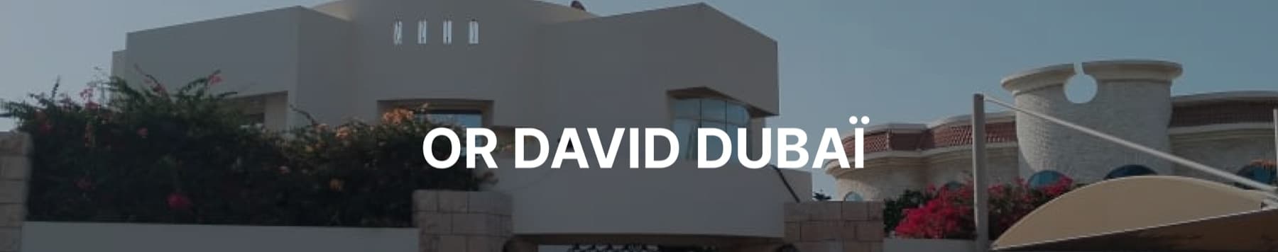 Or David Dubaï