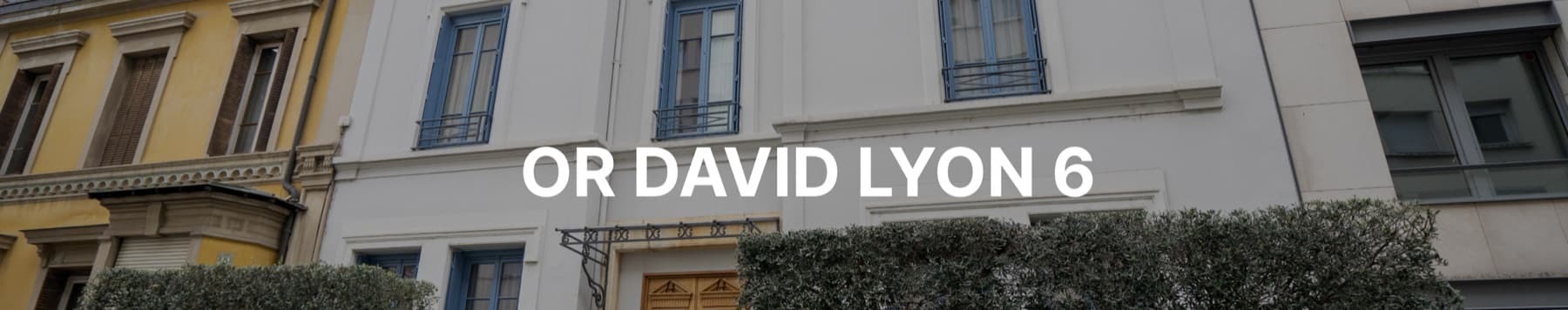 Or David Lyon 6